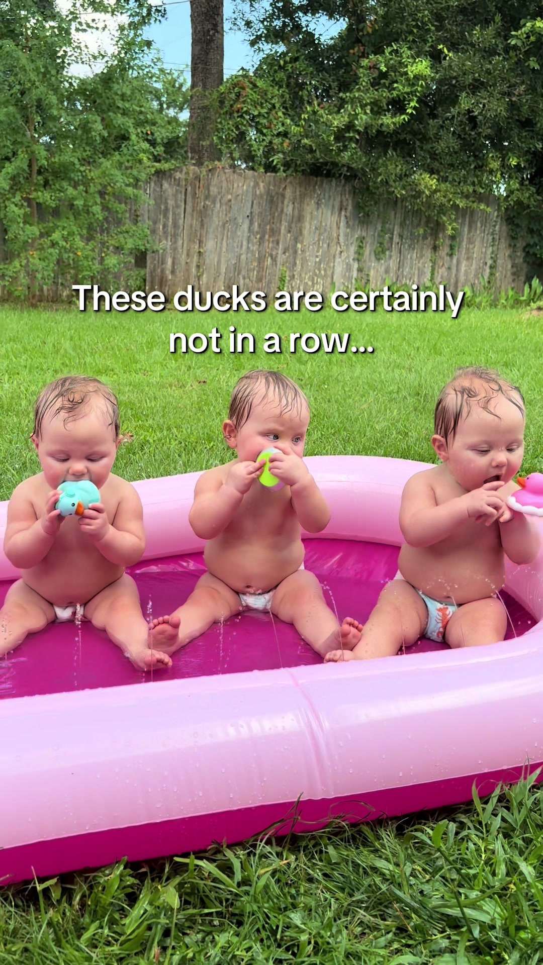 @Herr Triplets | Vanna Lee