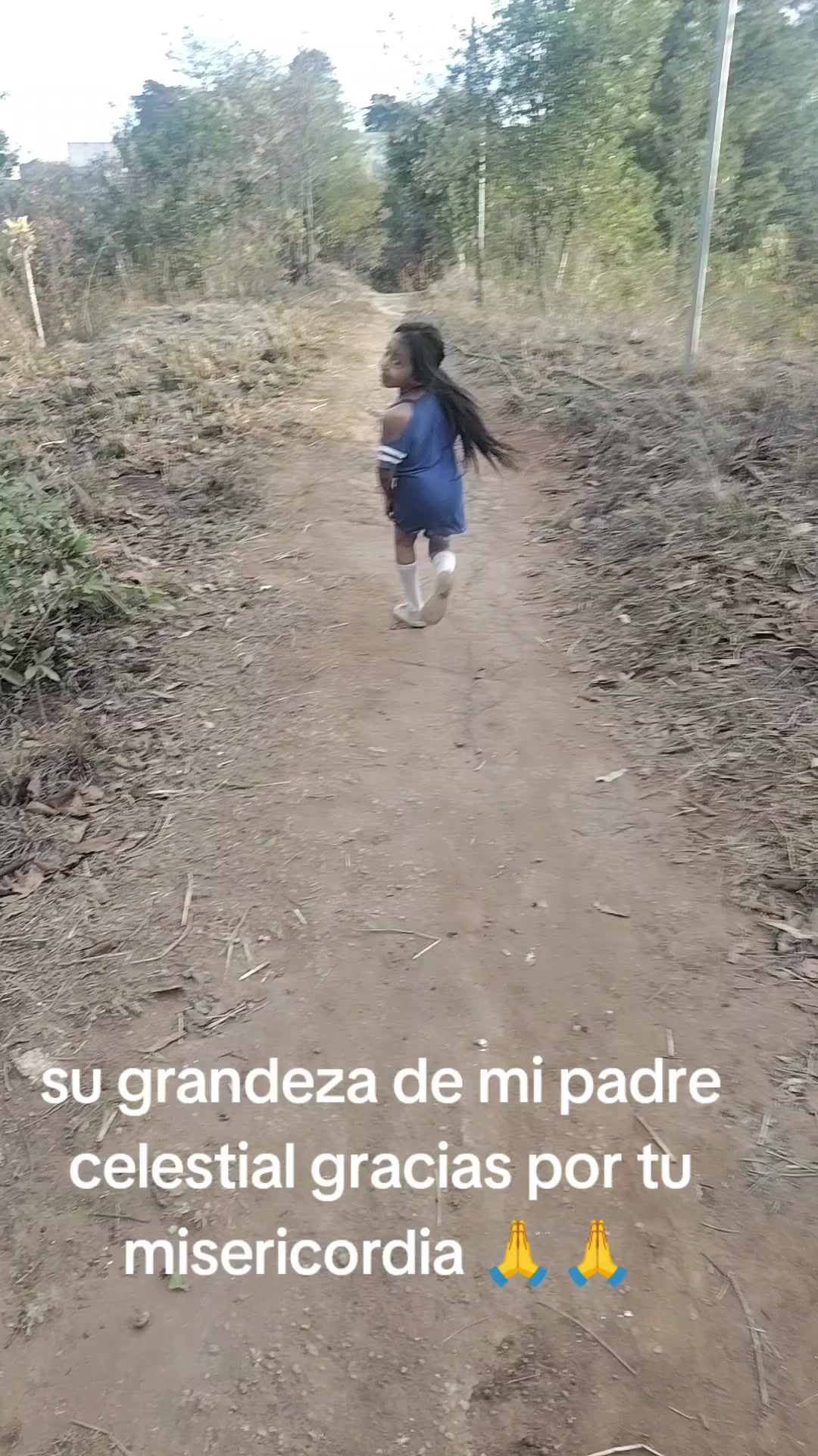 @Rebeca Chen