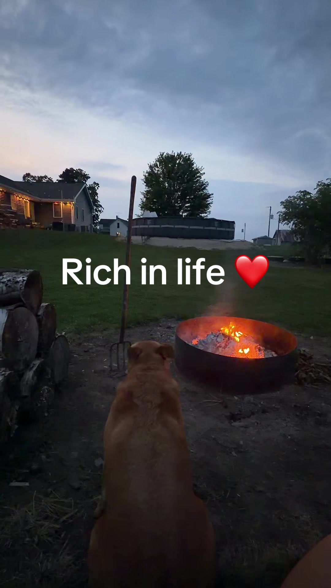 @Rachel H 💙