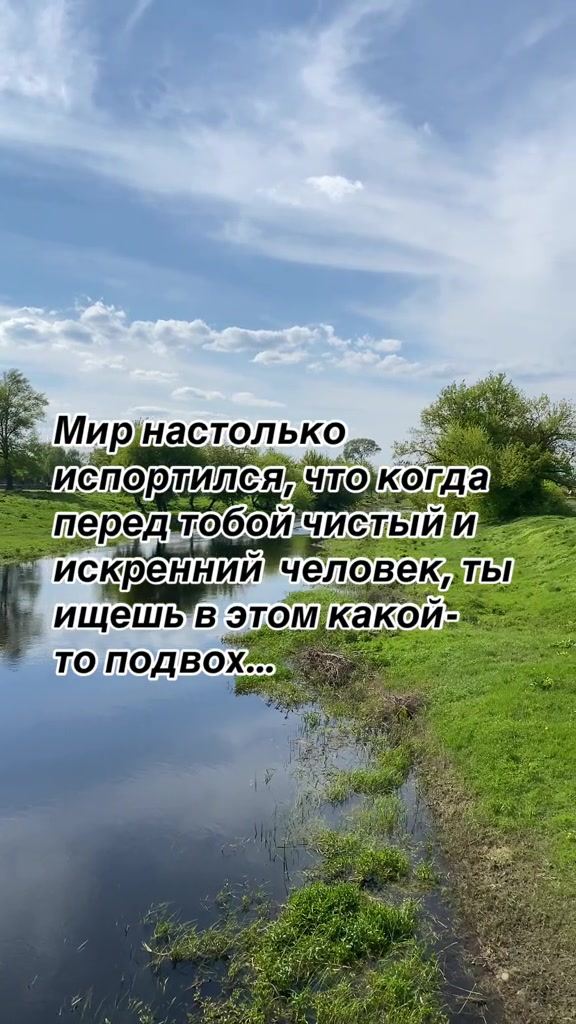 @🌸🕊️Птичка🕊️🌸