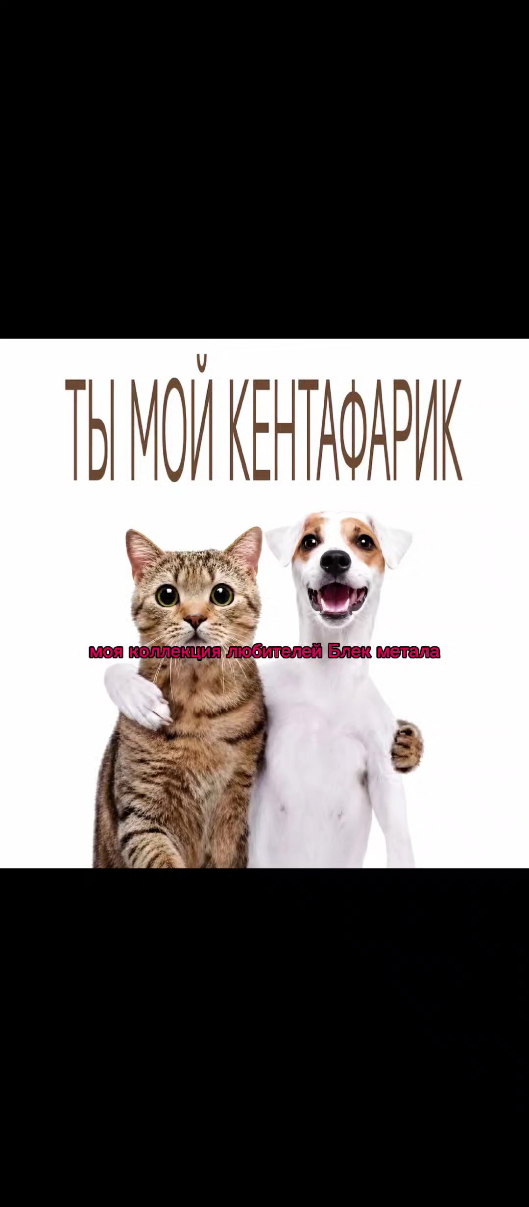 @ganster 888