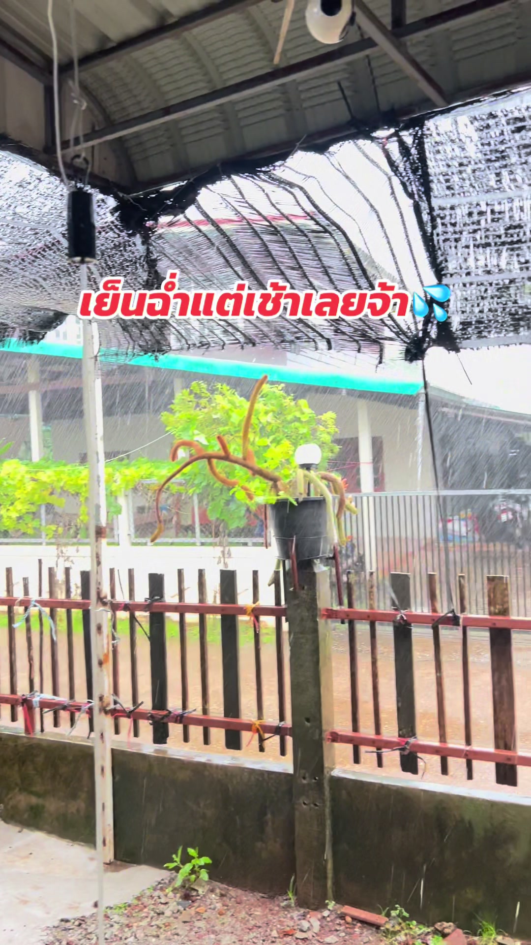 @สาวคำเลาะ