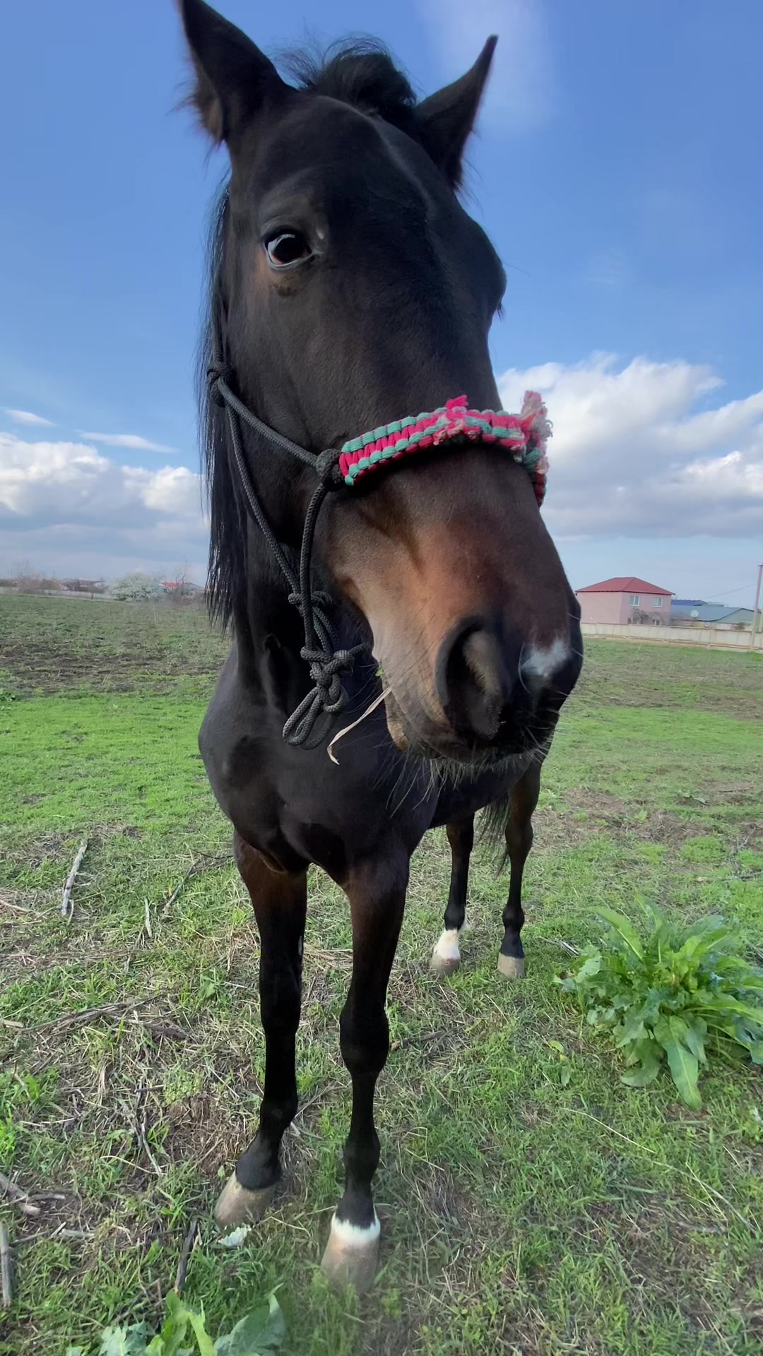 @Миэль🌺