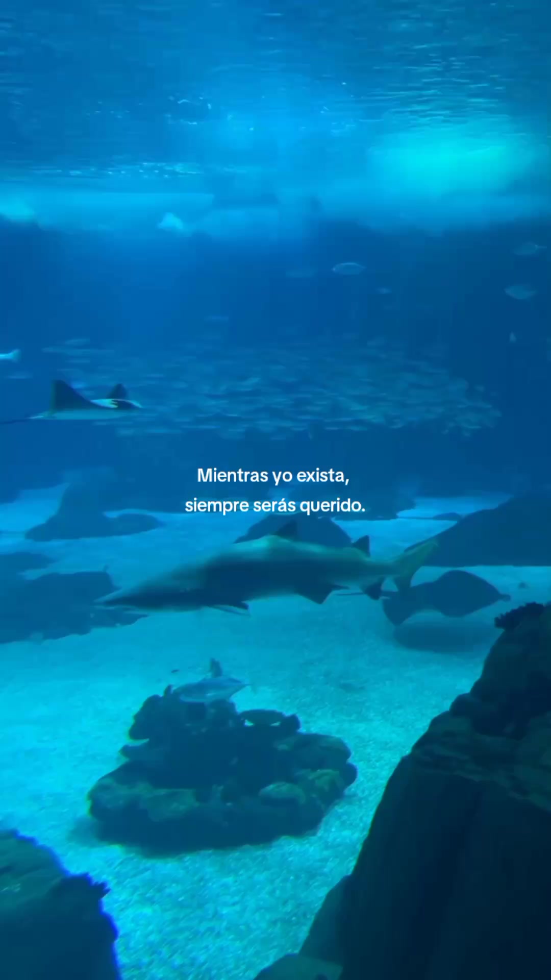 @Mariana