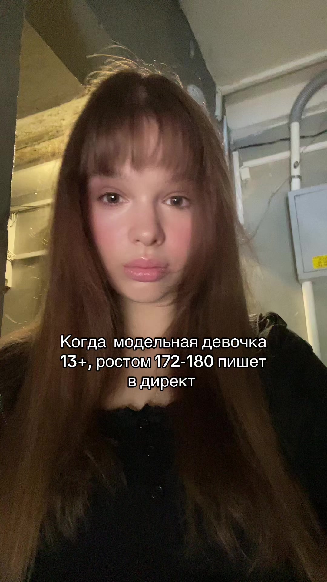 @Vysotskaya🐾
