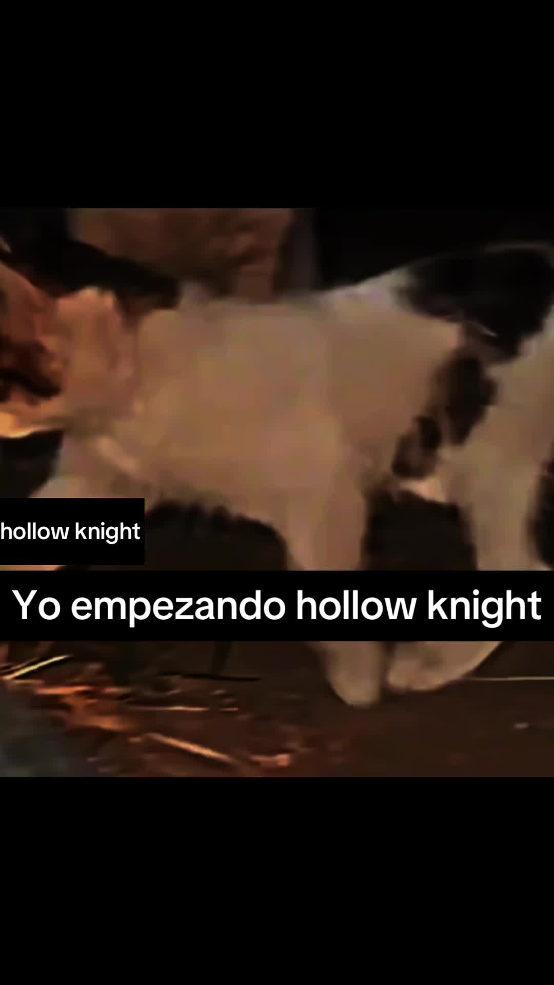 @el_codoscenizos
