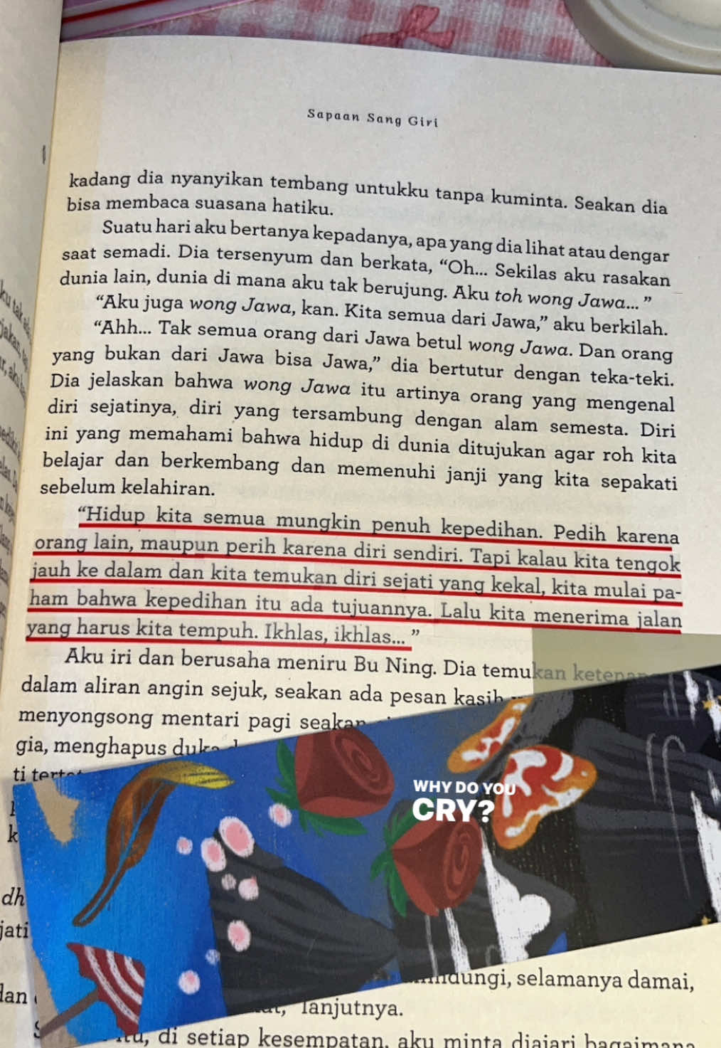 @amiii.reads📚 𐙚 ̊
