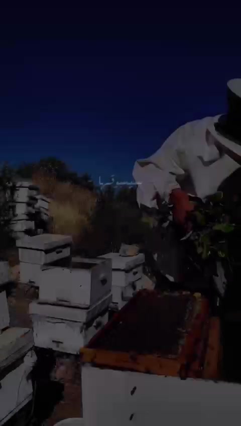 @مناحل عبد الرحمن للعسل