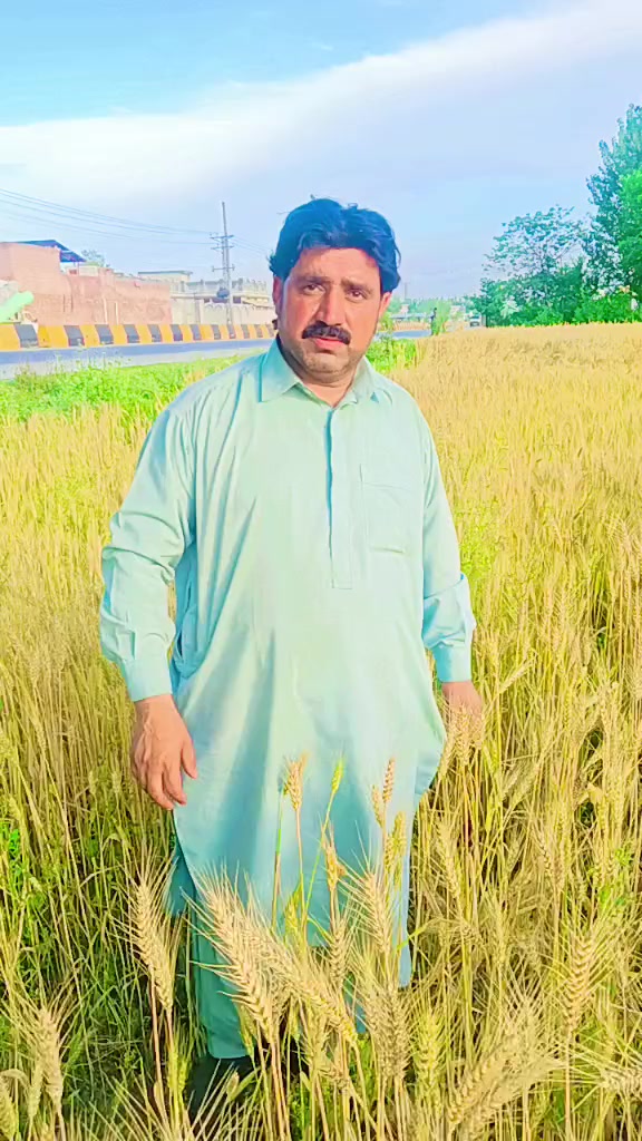@Mohd Rahman khan15