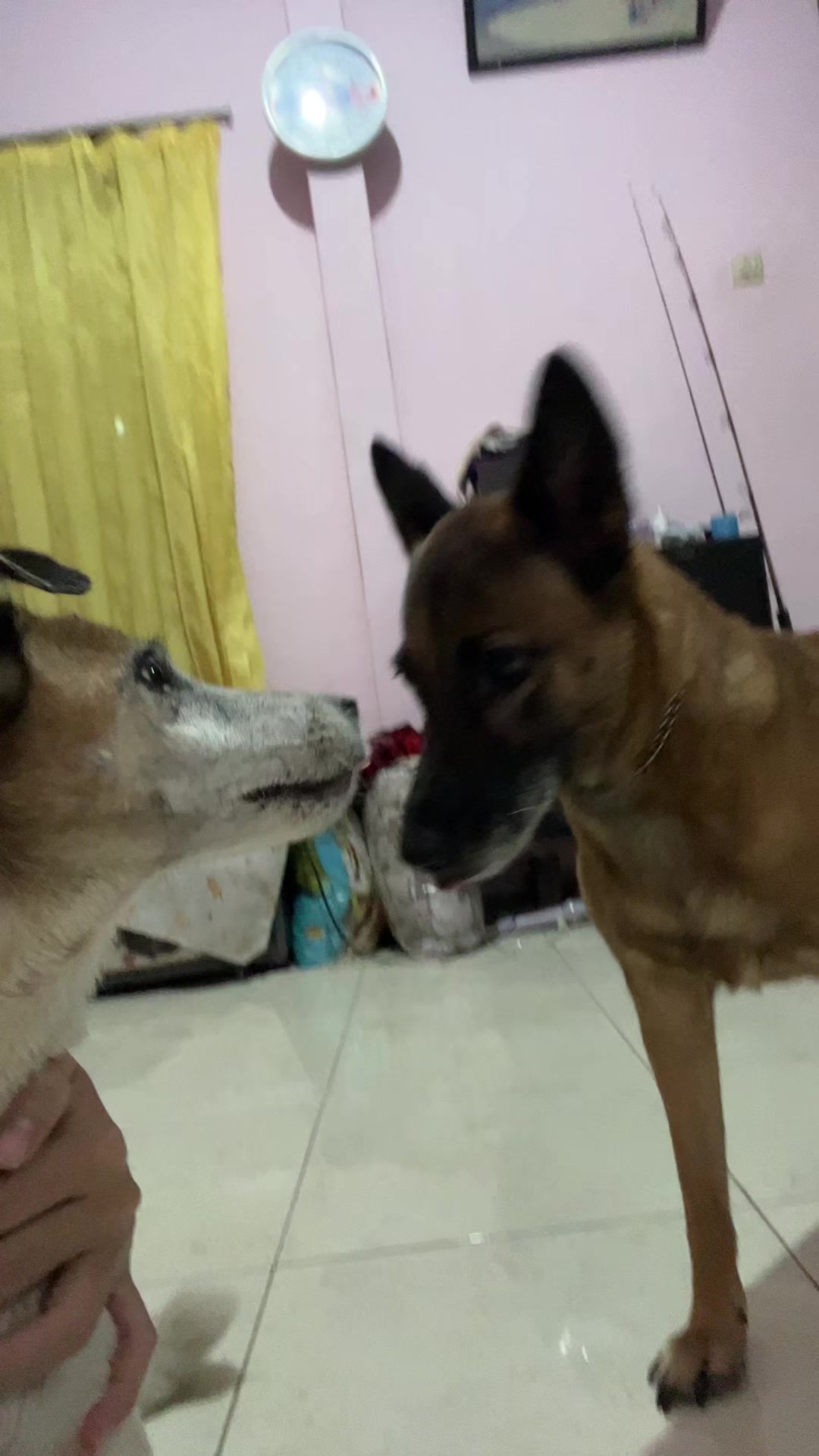 @fio.cio