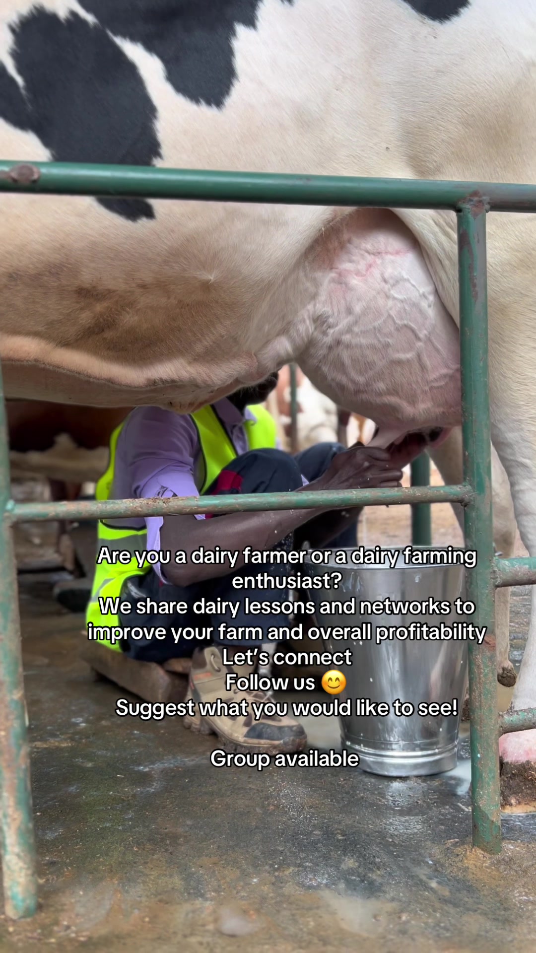 @Dairynetworks