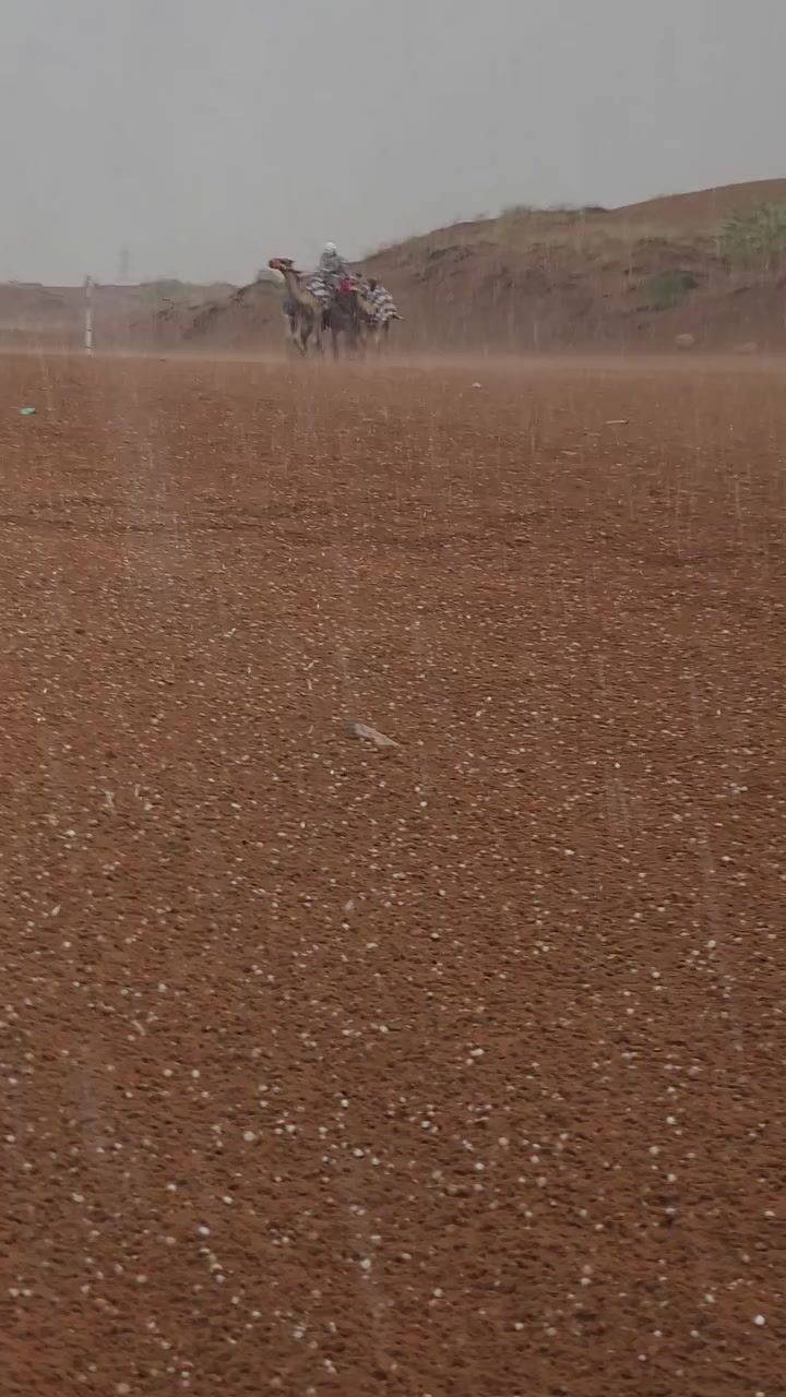 @ولد زايد 🇦🇪