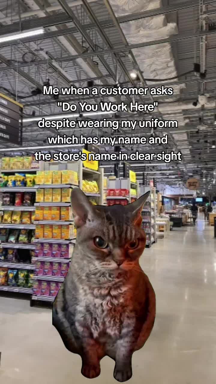 @SJ Esteban Austin