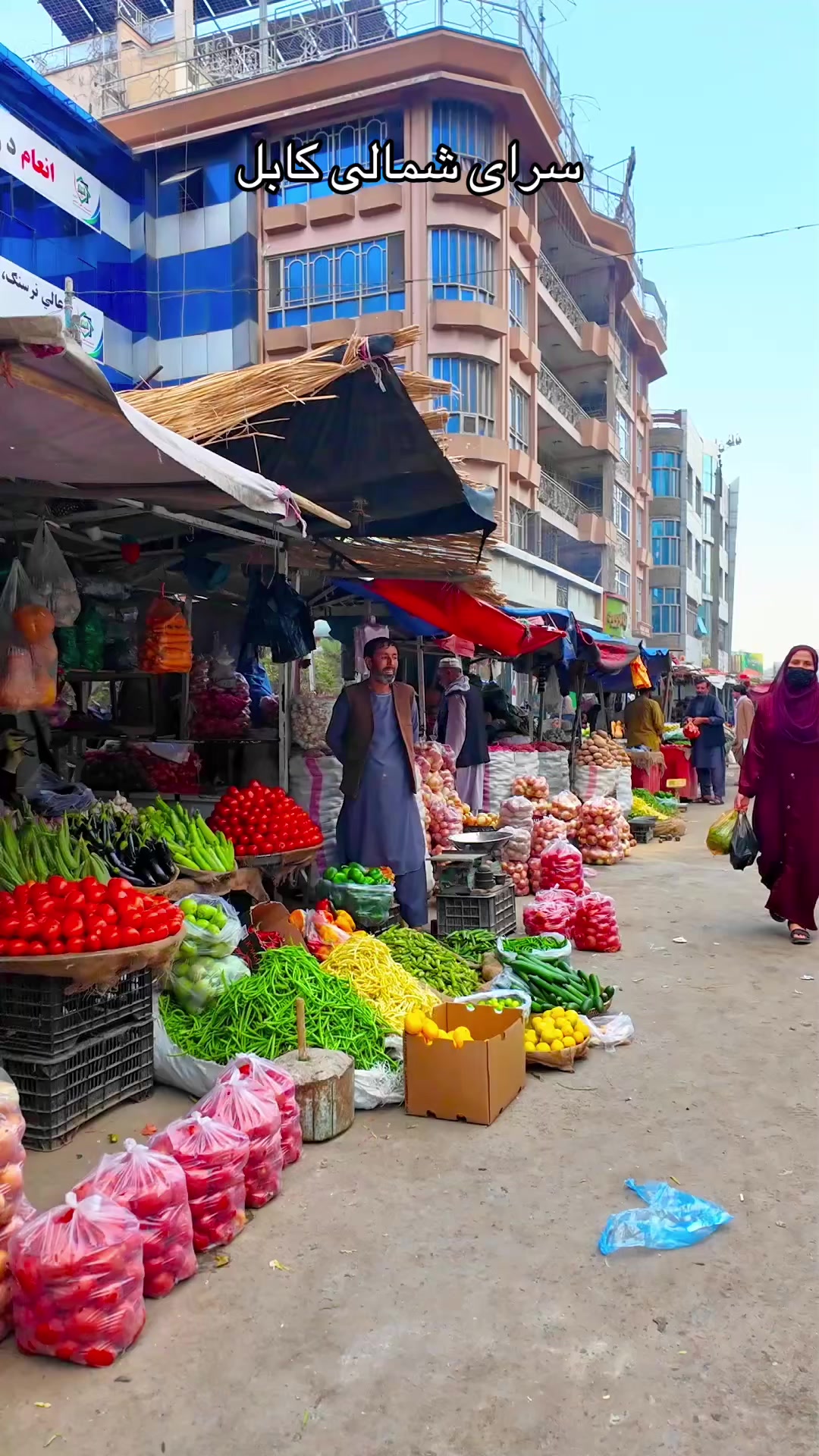 @afghanseries