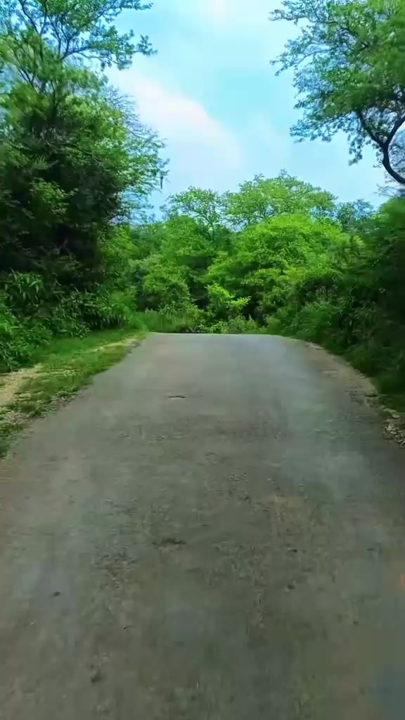@faizali