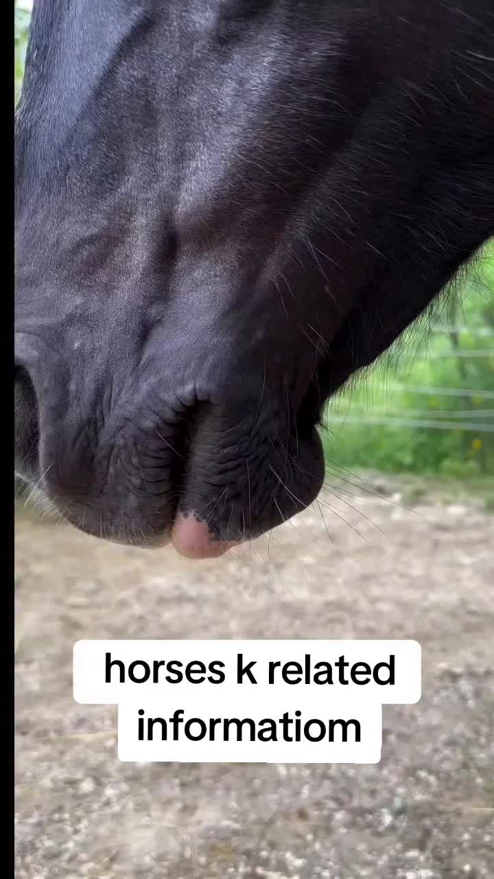 @hamara village sipyala🐴🐎🇵🇰