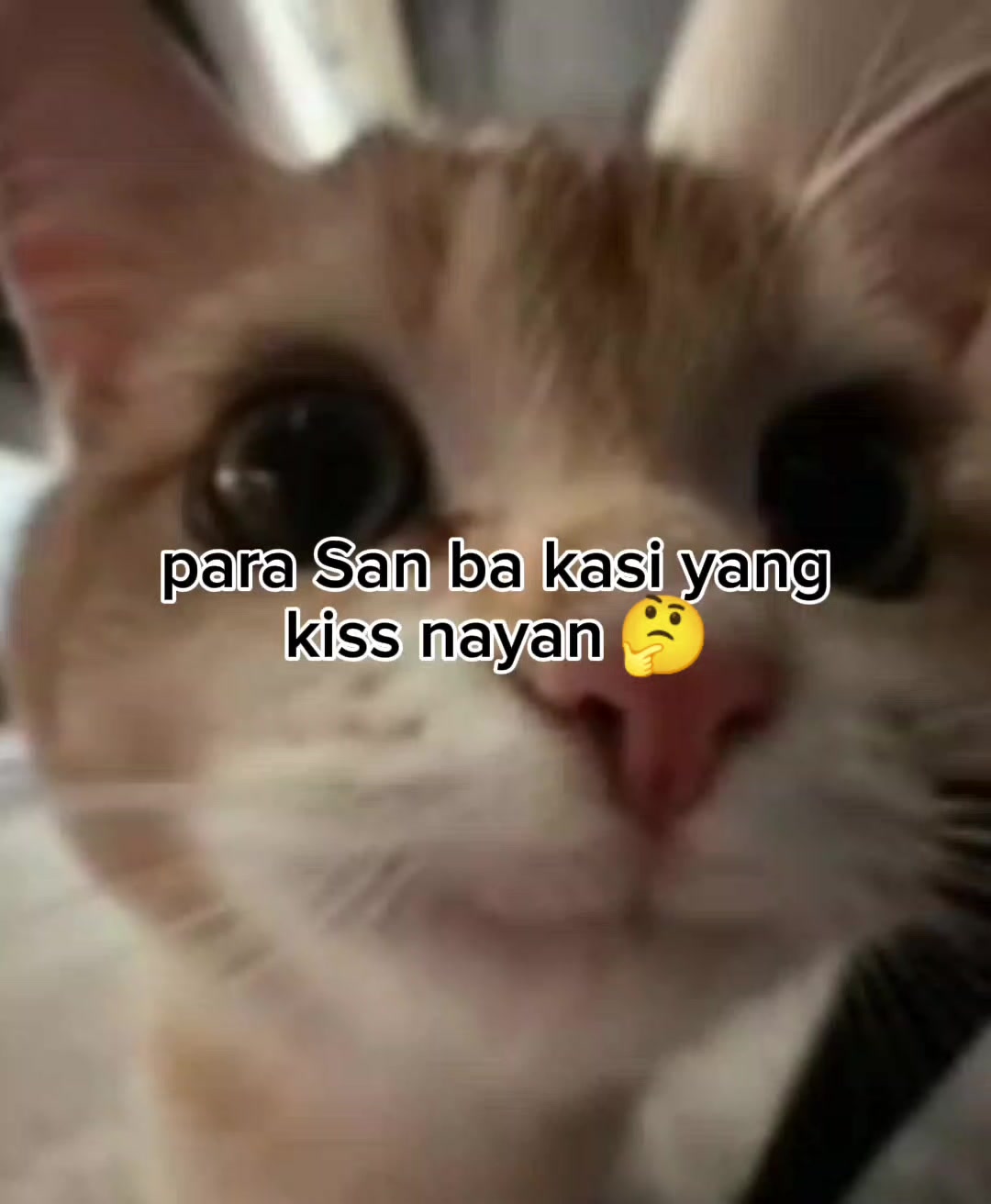 @[$$]