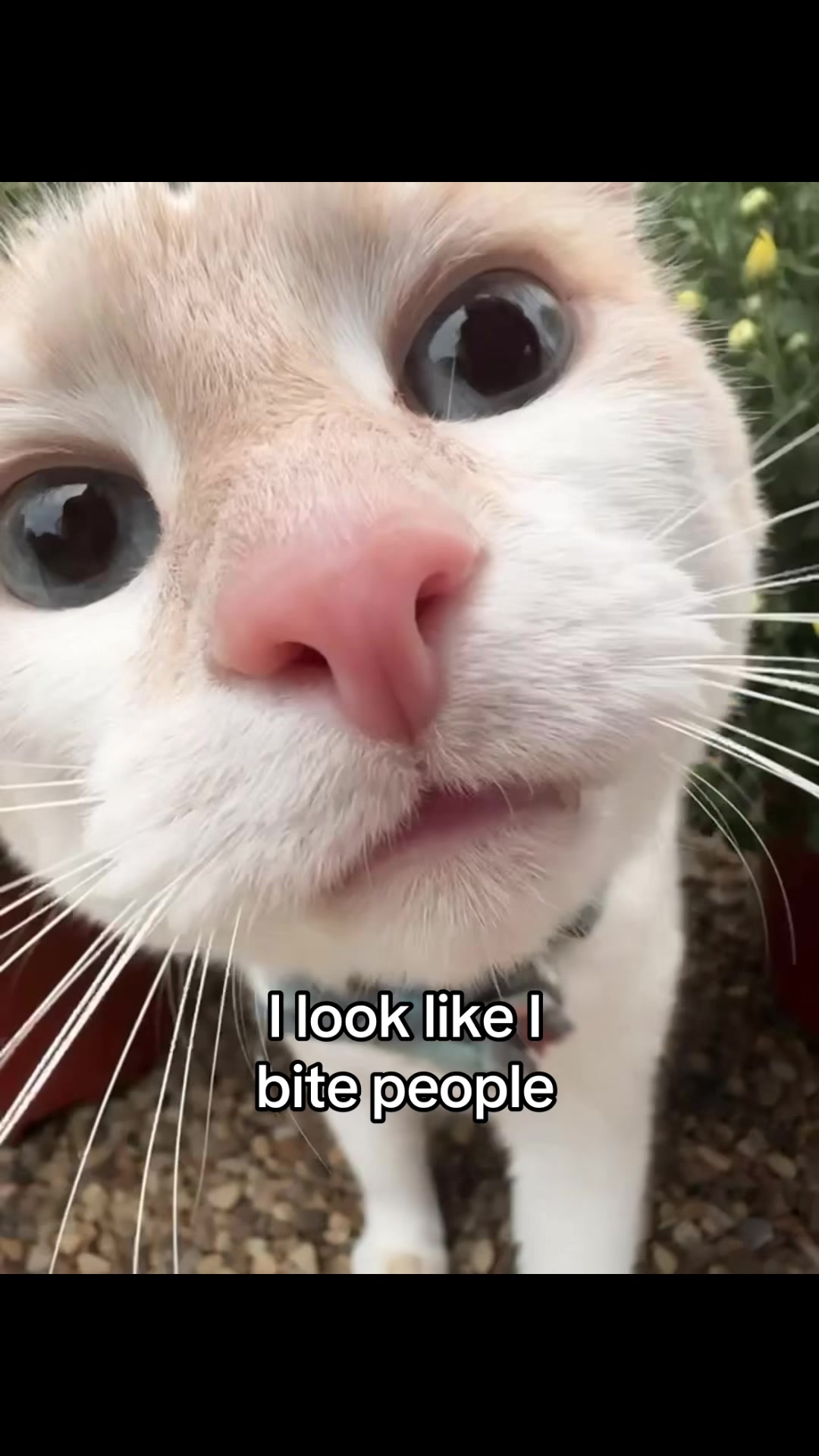 @Sabrina