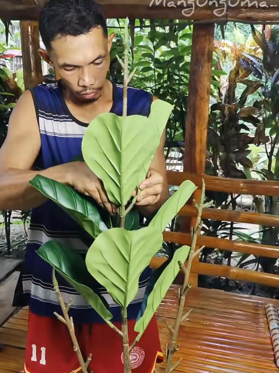 @💚Toto Mangunguma Unboxing💚