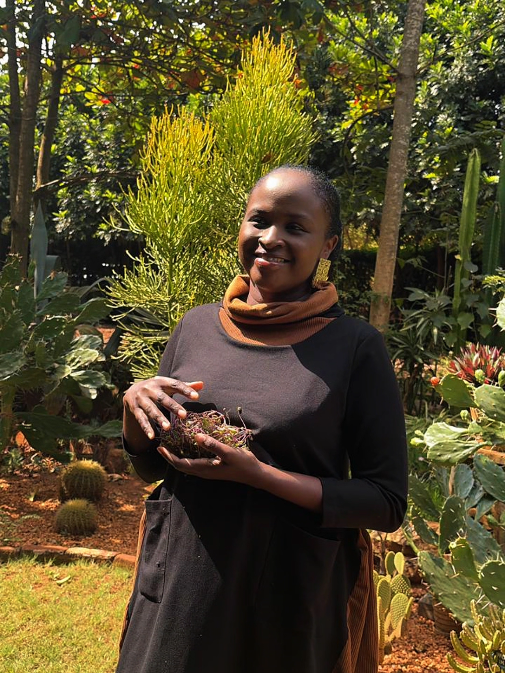 @Mercy Masika