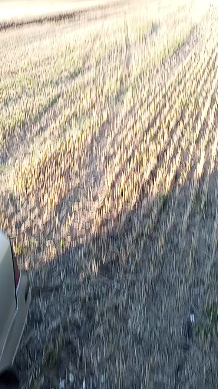 @килька