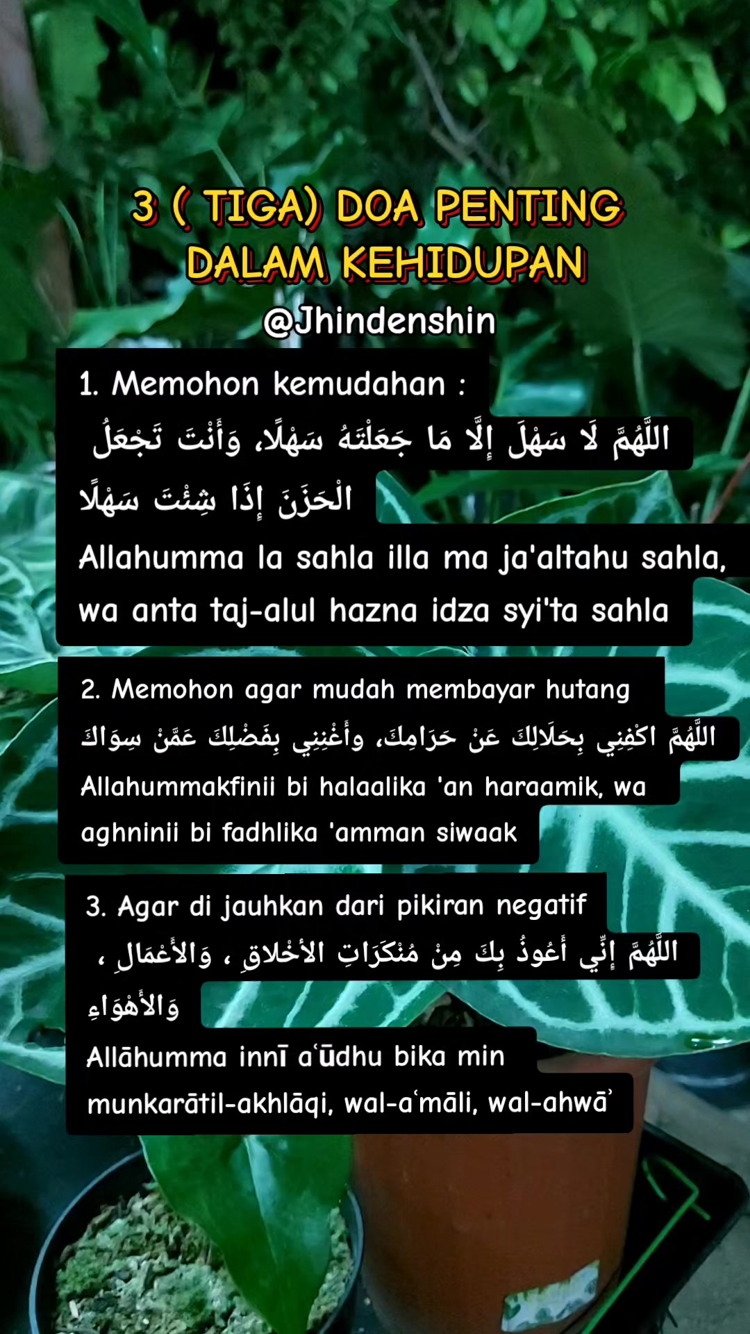 @Jhindenshin786