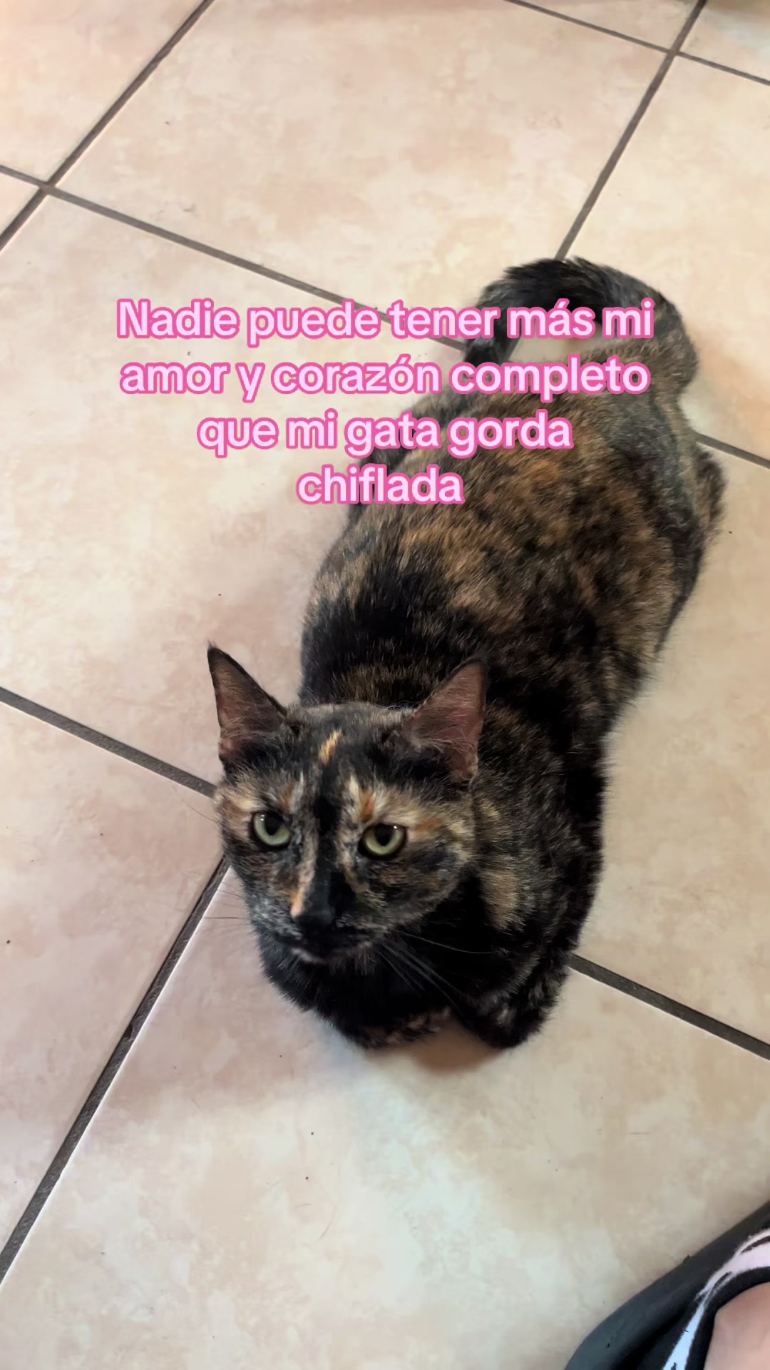 @⋆ ★ ˚。⋆