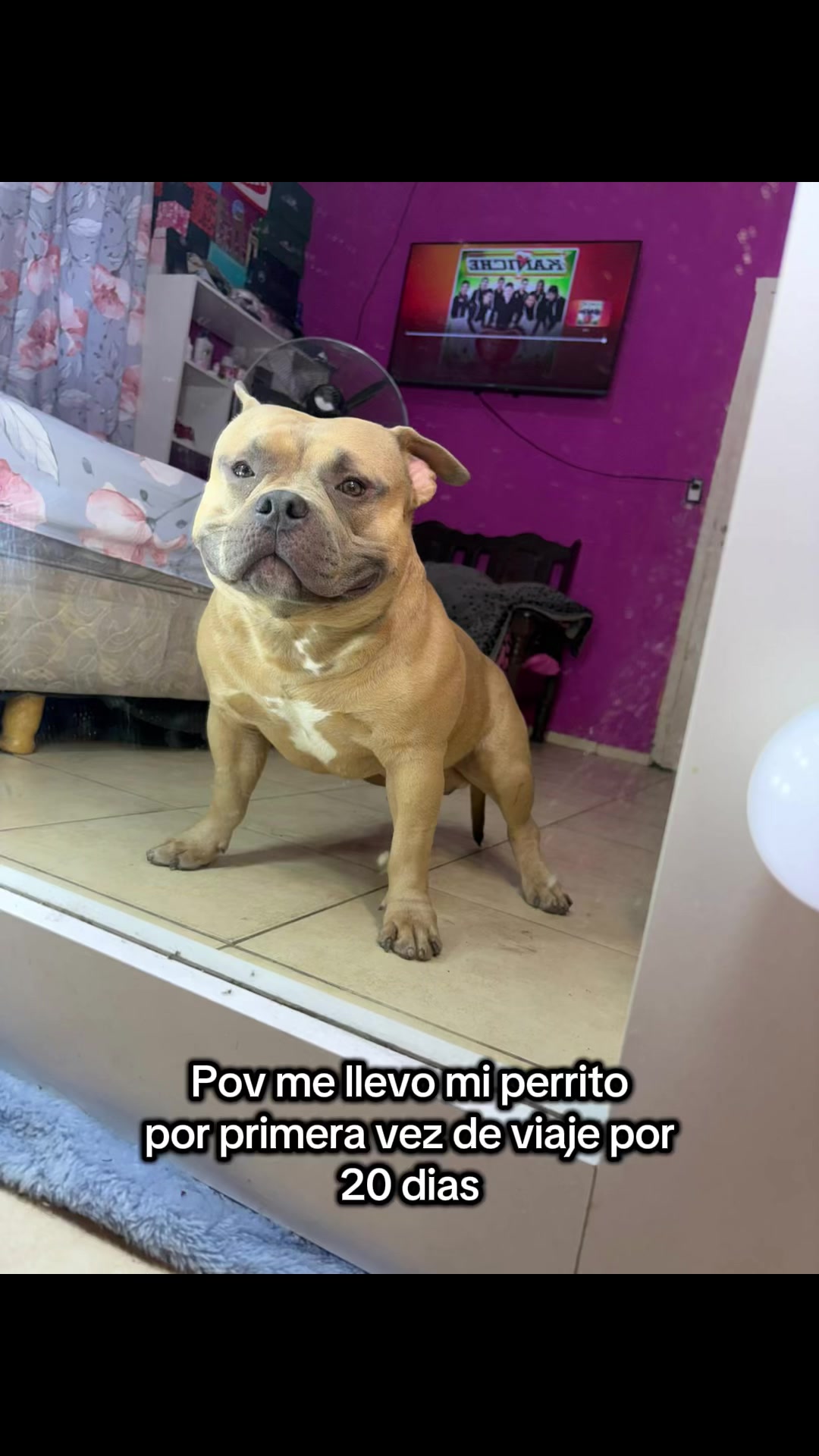 @More Luz
