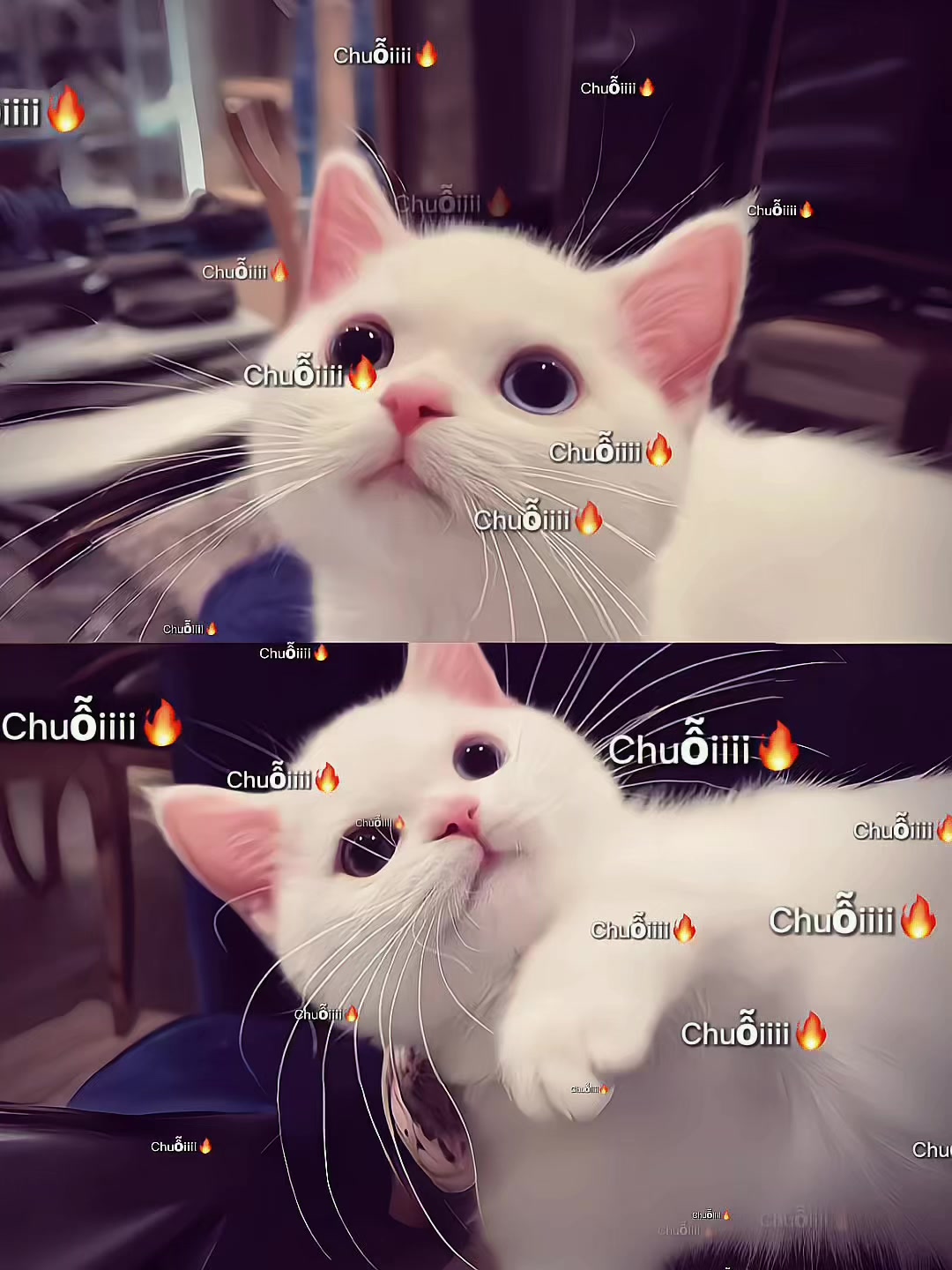 @𝓵