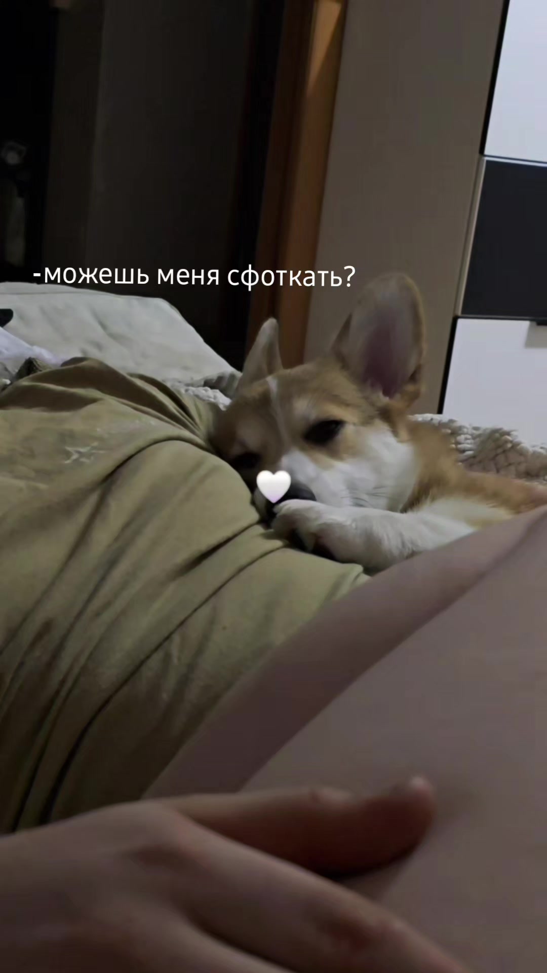 @Yulia @