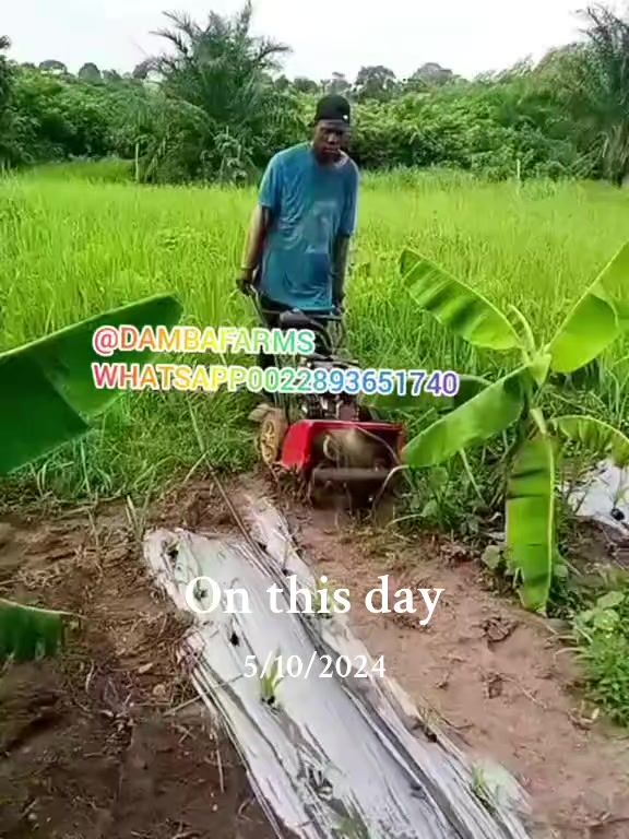 @dambafarms