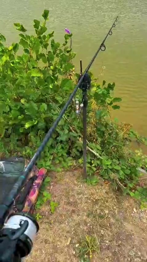 @Wildboy🎣🔥 European Monster