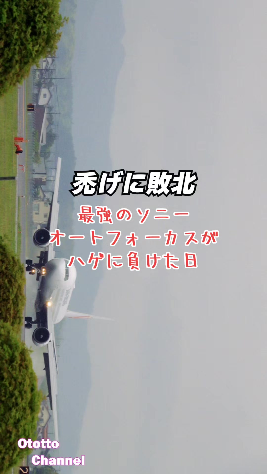@ototto/おっとっと