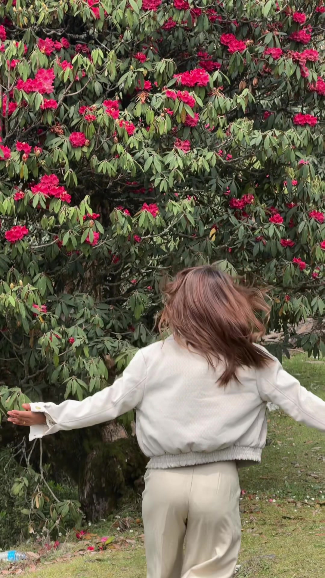 @Sushmah🦢🧚♀️🪷
