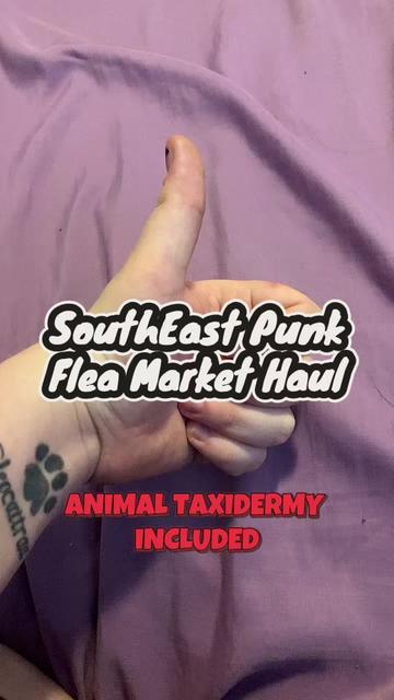 @Socks 🔞