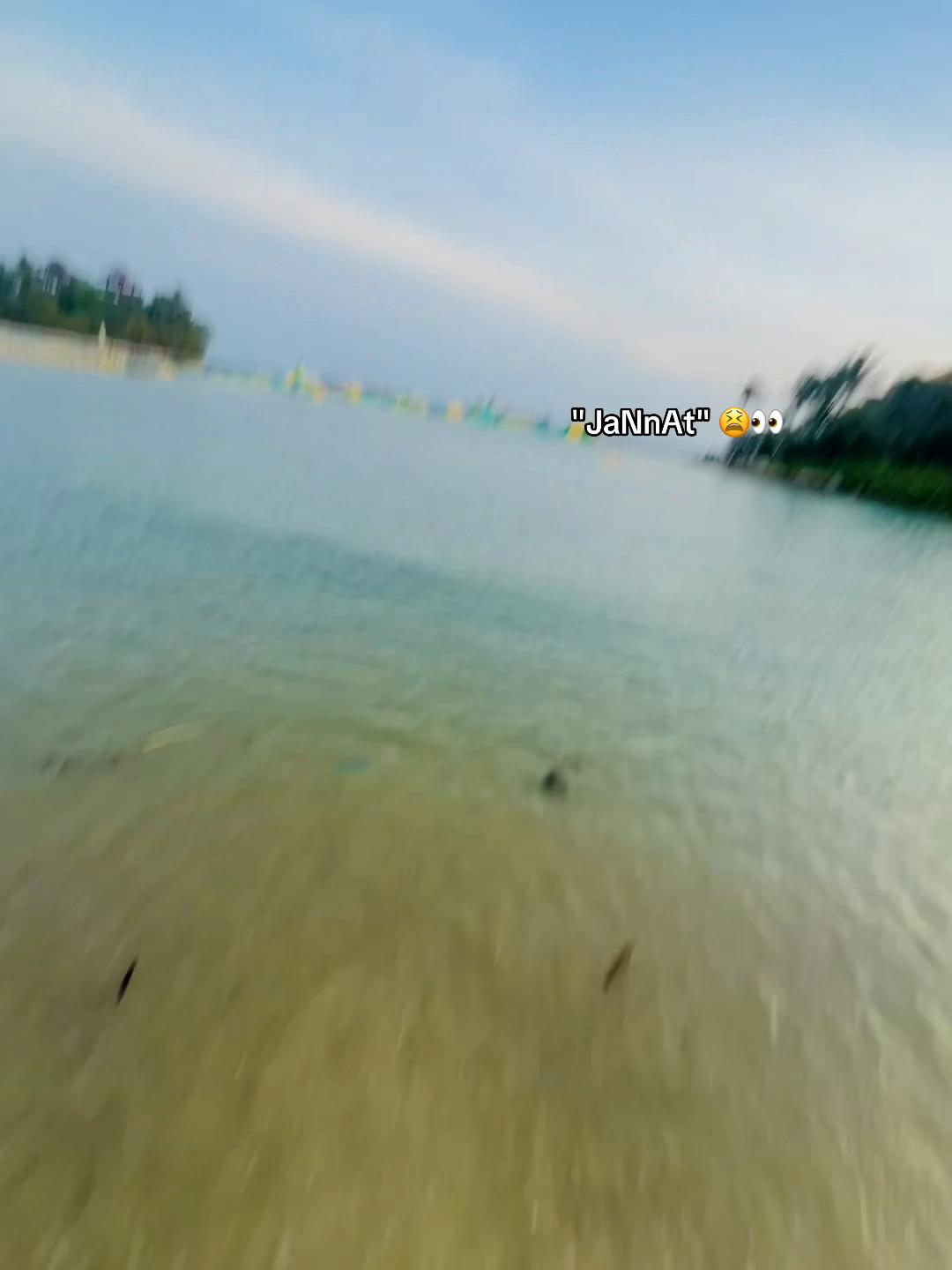 @_𝐒𝐇 𝐎 𝐕𝐎_🇸🇬