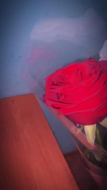@꧁༺🔐❤️𝓑𝓮𝓴𝓷𝓾𝓻𝓪❤️🔐༻꧂