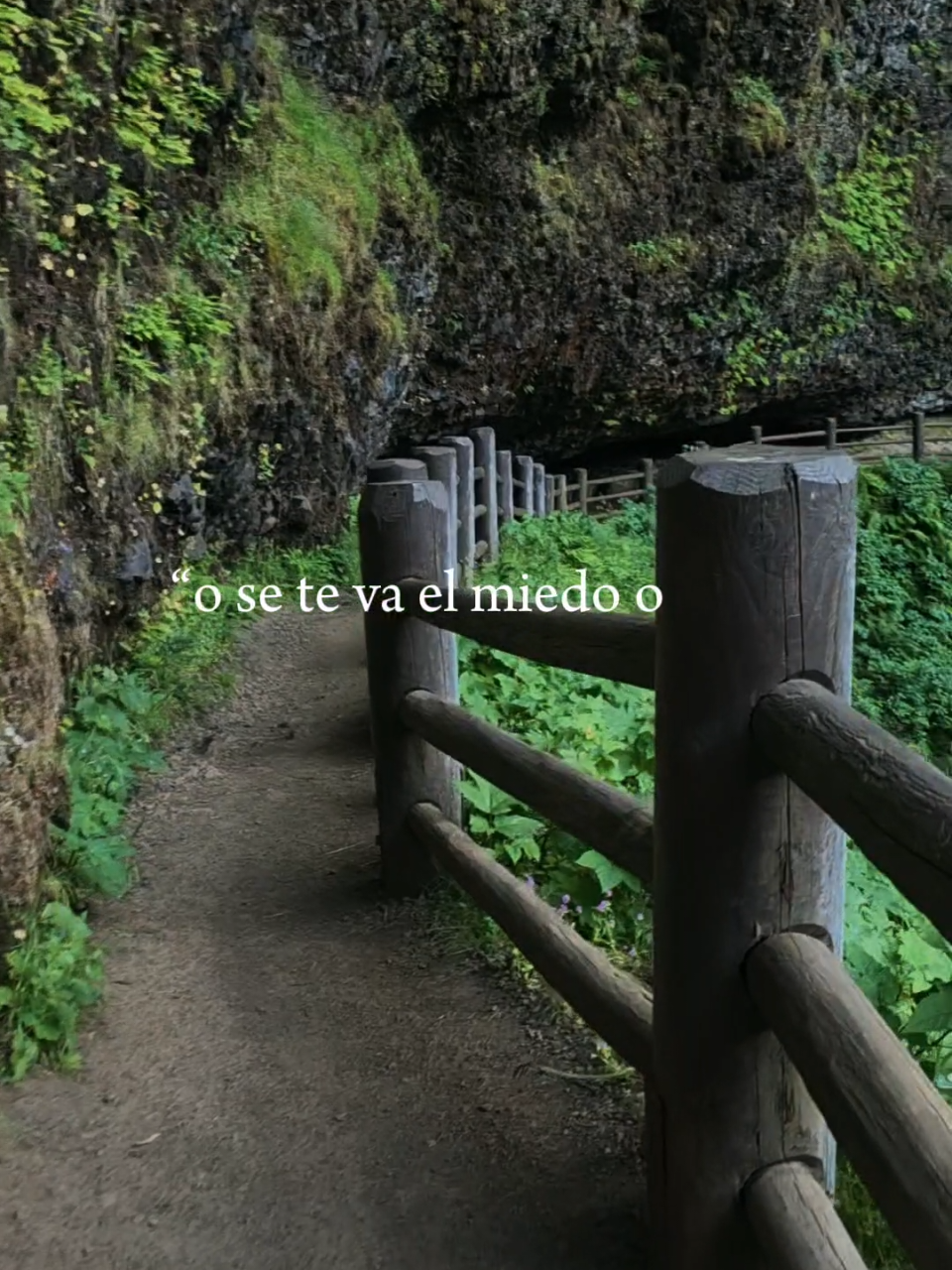 @Gaby Shalala