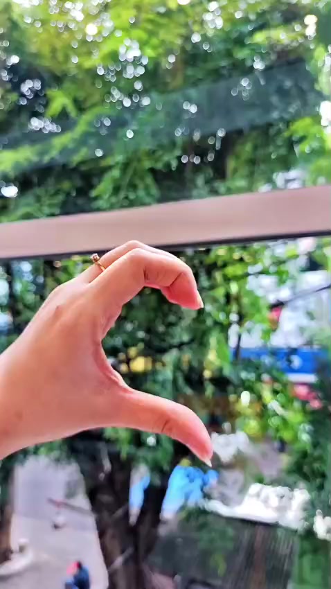 @liayuliani795