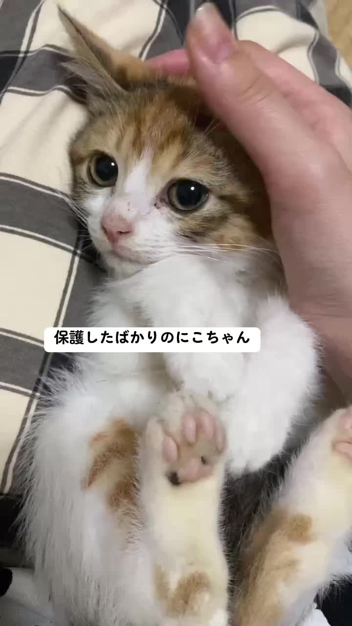 @ゆきりん