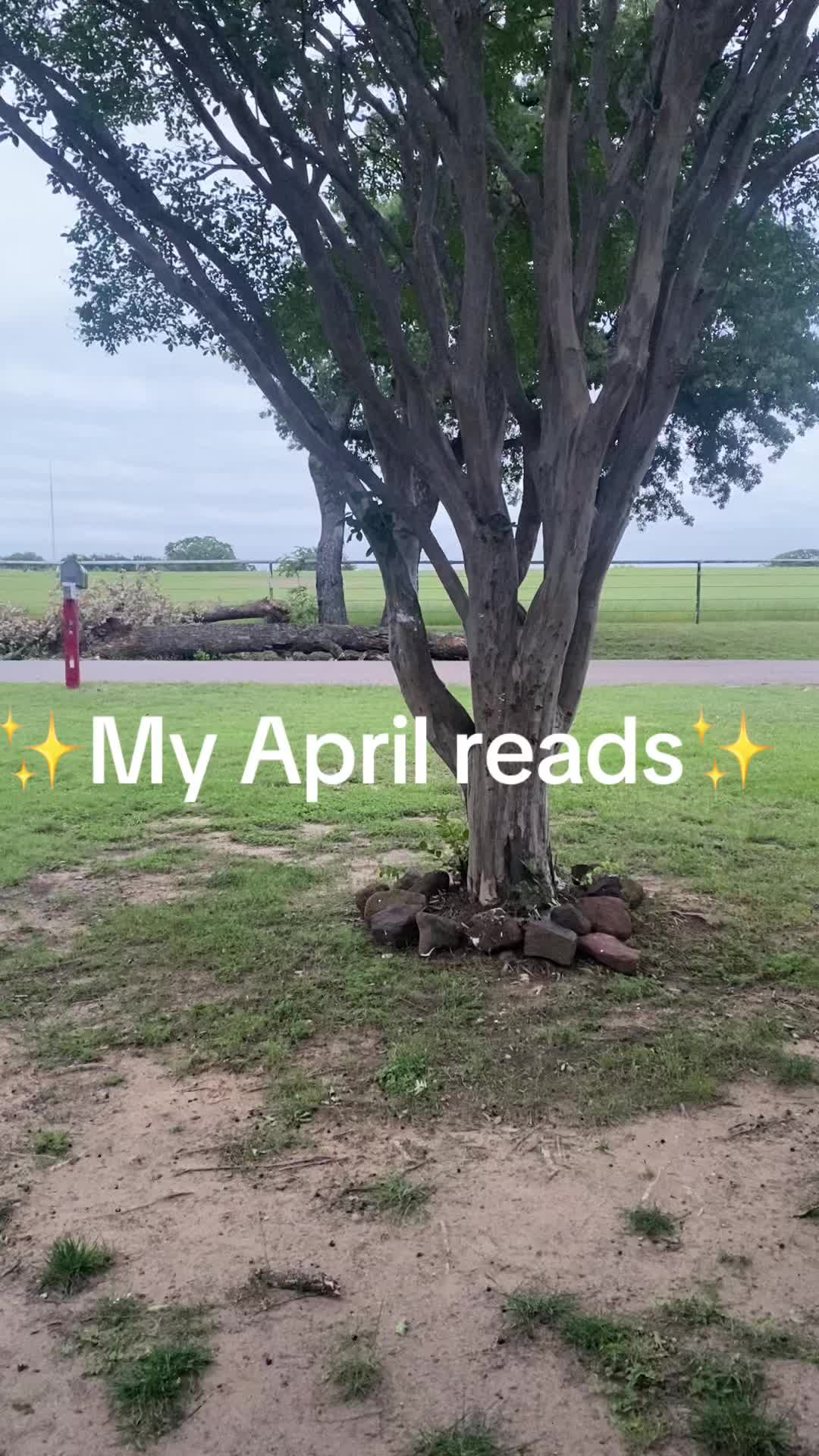 @Recs from TX
