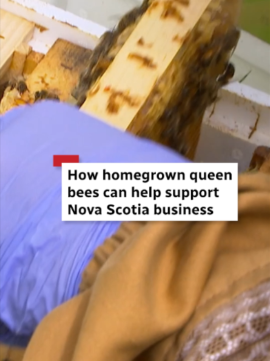@CBC Nova Scotia