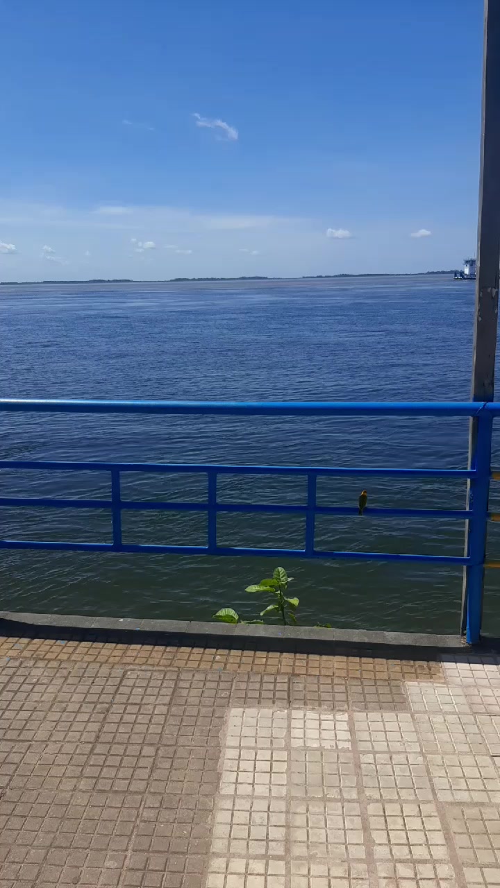 @SAMBA&Iacute;BA