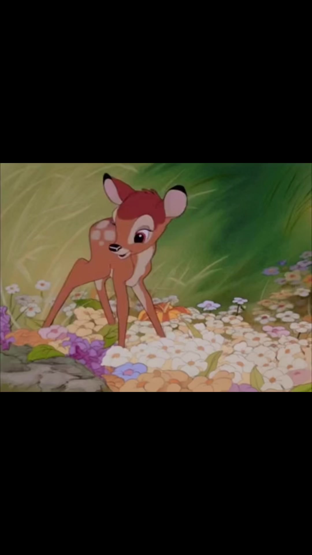 @🦌