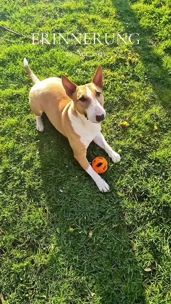 @🐕TiZi❤️🔥