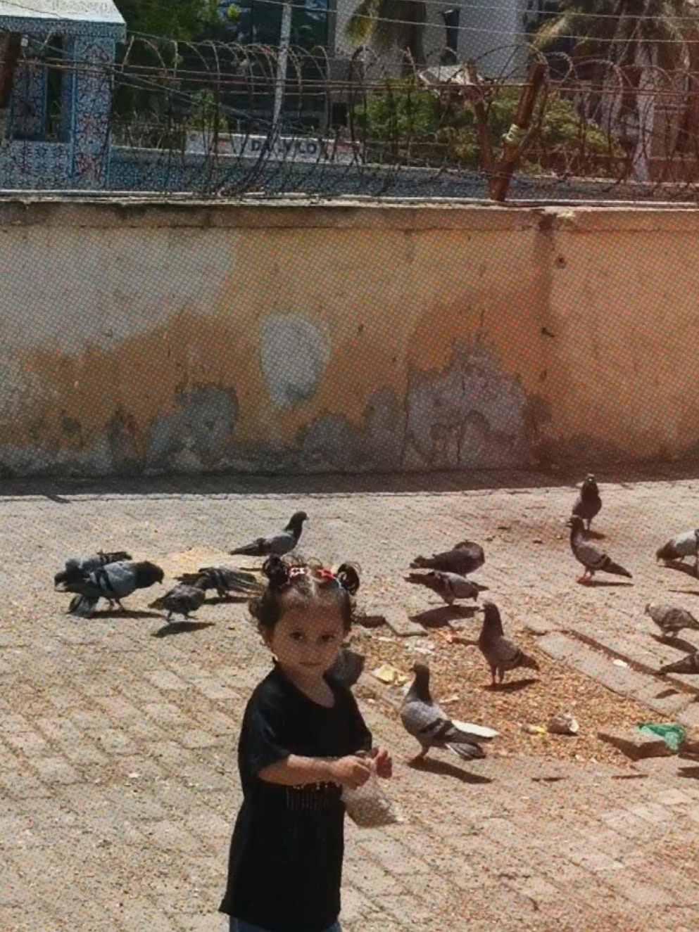 @𓆩🖤𓆪 رانا جاوید 𓆩🖤𓆪