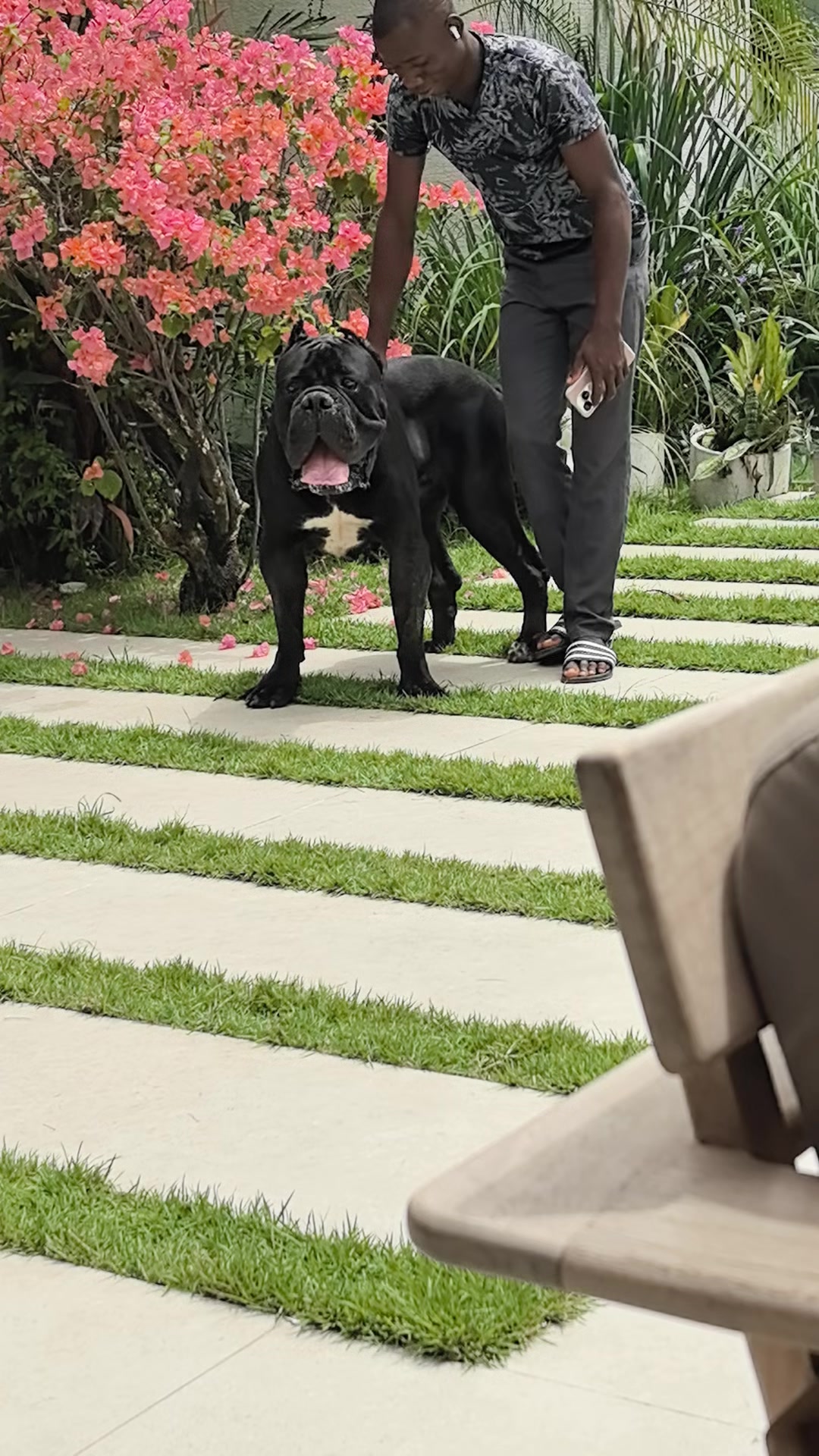 @FIRST CANE CORSO🐾🇨🇮🇨🇮🐾