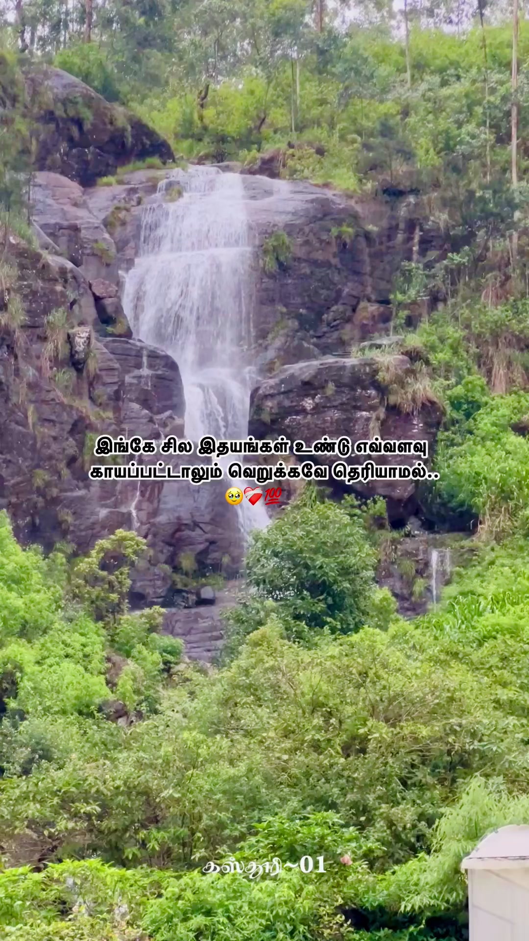 @𝗞𝗔𝗦𝗧𝗛𝗨𝗥𝗜~♡♥♡