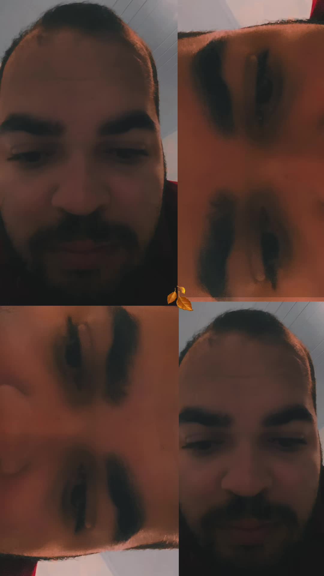 @pedro.guillera