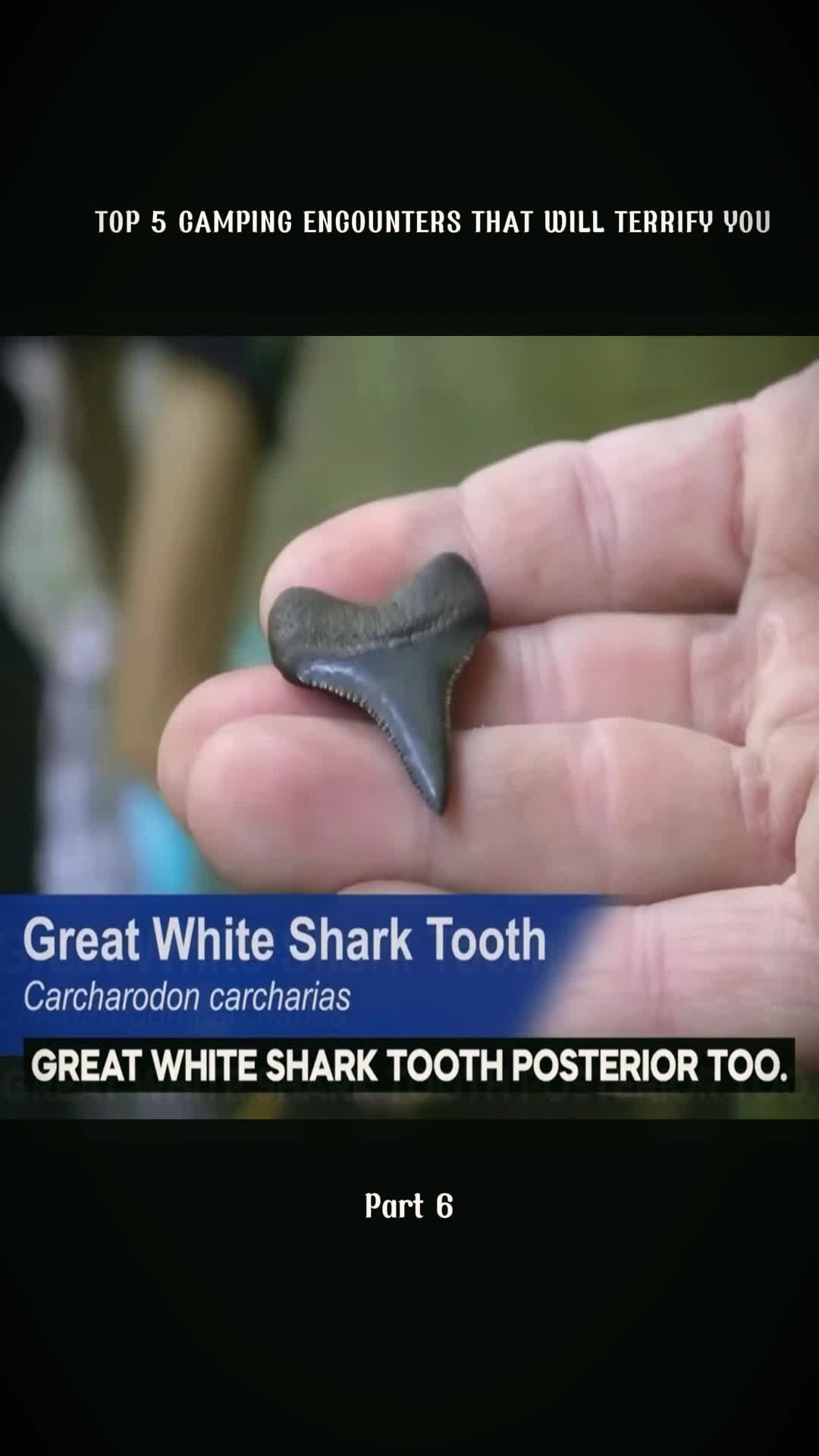 @CreepyStories